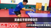 DOTA2羽毛球球星动态国际健身技巧教学WTA排球战术分析